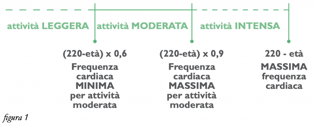 frequenza cardiaca attività