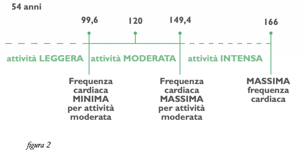 frequenza cardiaca attività