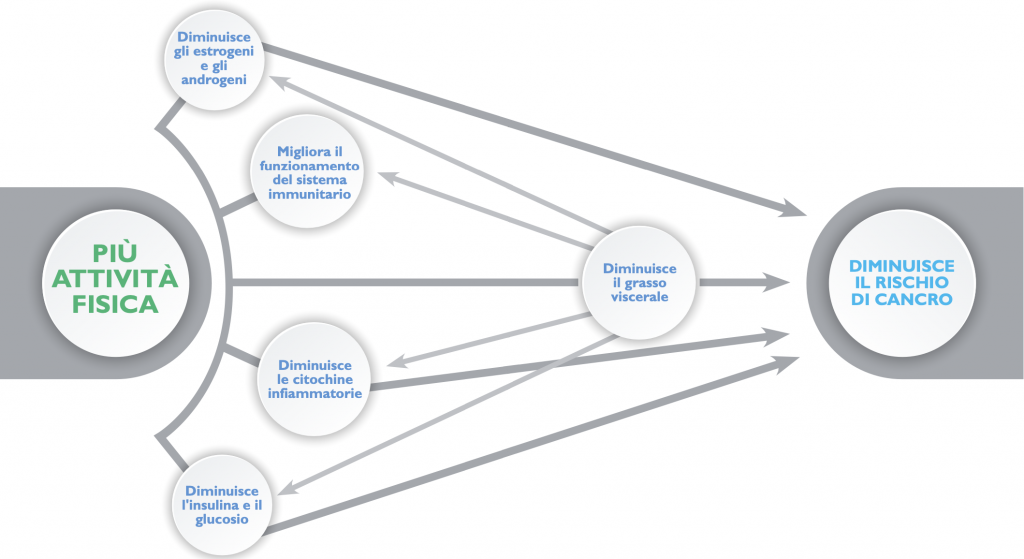 più attività fisica